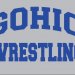 Ohio Div III Garfield Hts District