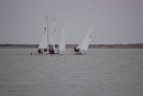 A M Barnyard 2011 045