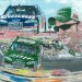 dale jr david hipwell