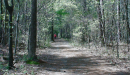 Kennesaw National Battefield Park - Marrieta, GA