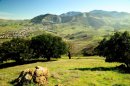 Chaparral Trail - Joaquin Miller Park
