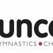 Bounce logo