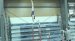 Workout Wednesday at Oakville Gymnastics