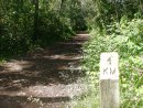 Edmonton River Valley - Running Hot Spot