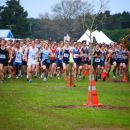 NZSSXC_2011  15937