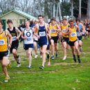 NZSSXC_2011  15961
