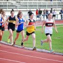 NISS Track_201199