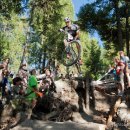 Sam Schultz Drops!