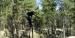 Zootown 17 Missoula Bike Crew (End of Summer Free Ride Edit ) The Dog Days Are Over