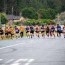 NZRR hunua  17462