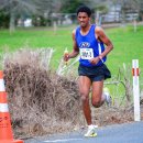 NZRR hunua  17519