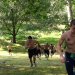 KSU Hill Workout (GOhioCasts)