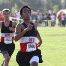 51 views