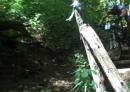 Adam Craig Shreds The Gnar on Farlow Gap in PISGAH