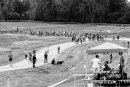 Tandem Cyclocross Tacchino