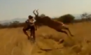 Mountain Biker VS Buck: Only in Africa