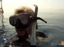 Shark diver magazine off of South Padre