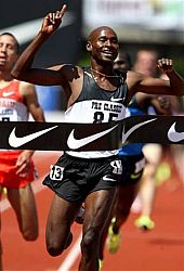 Bernard Lagat