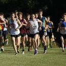 2011 NSW Short Course Cross Country Championships