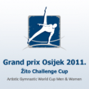 Osijek World Cup 2011