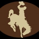 Wyoming Cowboy Open