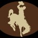 Wyoming Cowboy Open