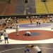 nwca 1 250x384