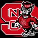 Wolfpack Open