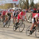 113 views