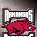 Arkansas GymBacks 2011-2012