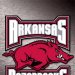 Arkansas GymBacks 2011-2012
