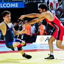 73 views