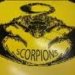 imagesscorpionwrestling