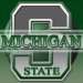 Michigan State Gymnastics 2011-2012