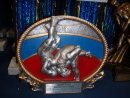 PC020506