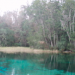 Coverage Photos from Rainbow River