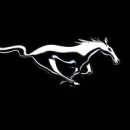 Mustang Classic 2011 (FloNationals Major)