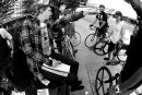 Stairways To Heaven Race - Los Angeles