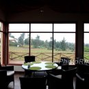 DiningRoom LKiplagat11