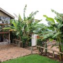 Gym BananaTrees LKiplagat11