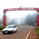 HomeOfChampions LKiplagat11