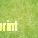 2011 New Years Sprint