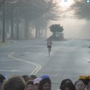 38 views
