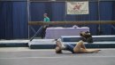 Head over Heels gymnast on floor