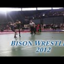 29 views