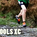 2012 Cumbria Schools Cross County Championships