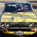 Carro de SLP