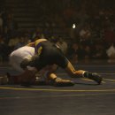 5 views