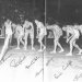 1962 start