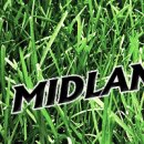 2012 Midland Area XC Championships
